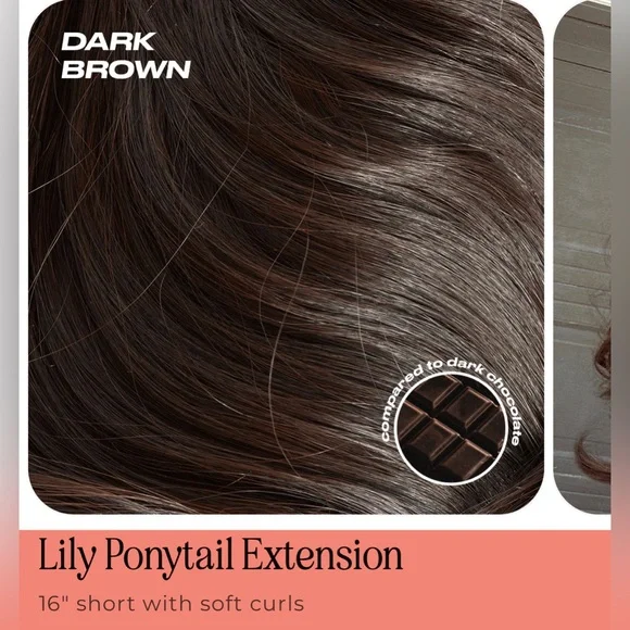 Insert Name Here Ponytail Extension - Picture 5 of 5